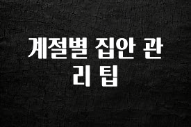 정성을 다하는 계절별 집안 관리 팁 알려드릴게요