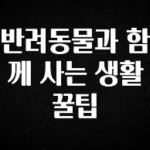 추가정보 떳다 반려동물과 함께 사는 생활 꿀팁 좋은 정보