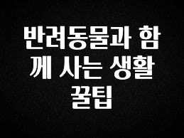 추가정보 떳다 반려동물과 함께 사는 생활 꿀팁 좋은 정보