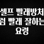 올해 이렇게 바뀌었다고? 셀프 빨래방처럼 빨래 잘하는 요령 클릭해보세요