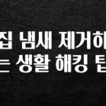 이번주 제일 많이찾은 집 냄새 제거하는 생활 해킹 팁 후회하지 않습니다