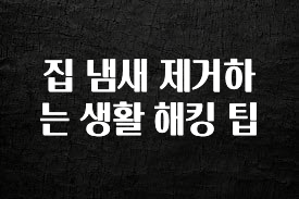 이번주 제일 많이찾은 집 냄새 제거하는 생활 해킹 팁 후회하지 않습니다