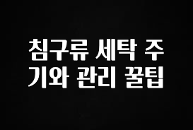 이것만 보고가기 침구류 세탁 주기와 관리 꿀팁 바로 클릭