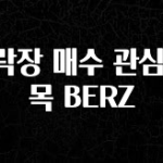 올해 베스트 하락장 매수 관심 종목 BERZ 추천한 이유입니다