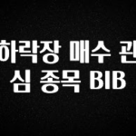 공감주의 하락장 매수 관심 종목 BIB 업데이트된 소식입니다