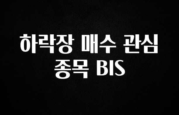 이정보美쳤다 하락장 매수 관심 종목 BIS 요약정리