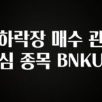 모두가 궁금했던 하락장 매수 관심 종목 BNKU 최신정보