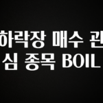 업뎃 정보 하락장 매수 관심 종목 BOIL 30초면 확인 가능합니다