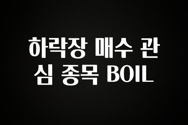 업뎃 정보 하락장 매수 관심 종목 BOIL 30초면 확인 가능합니다