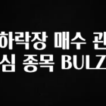 이건 “참을 수 없다” 하락장 매수 관심 종목 BULZ 알짜배기만 골라가세요
