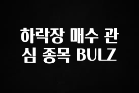 이건 “참을 수 없다” 하락장 매수 관심 종목 BULZ 알짜배기만 골라가세요