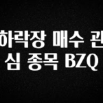 간단뉴스 하락장 매수 관심 종목 BZQ 확인 부탁드립니다