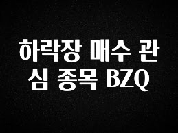 간단뉴스 하락장 매수 관심 종목 BZQ 확인 부탁드립니다
