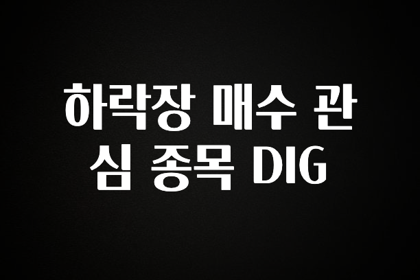 이건”꼭” 알아보자 하락장 매수 관심 종목 DIG 알짜배기만 골라가세요