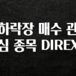 모두가 궁금해 했던 하락장 매수 관심 종목 DIREX 군말없이 소개합니다