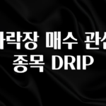 긴급소식 하락장 매수 관심 종목 DRIP 실간 리뷰