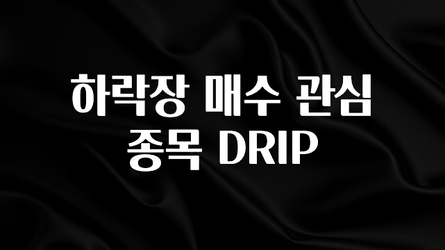 긴급소식 하락장 매수 관심 종목 DRIP 실간 리뷰