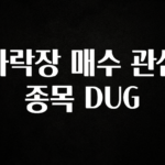 간단정보 하락장 매수 관심 종목 DUG 무조건 확인