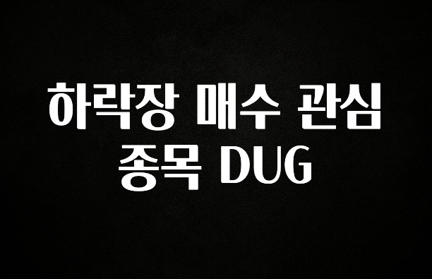 간단정보 하락장 매수 관심 종목 DUG 무조건 확인