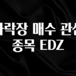 간편확인 하락장 매수 관심 종목 EDZ 후회하지 않습니다
