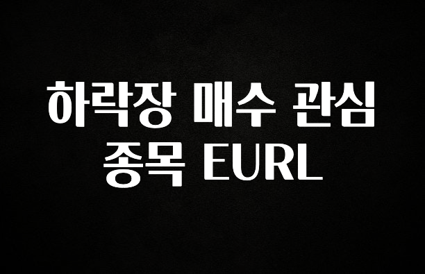 이번 선물은 꼭 하락장 매수 관심 종목 EURL 지금떳다