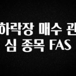 꾸준한 인기 하락장 매수 관심 종목 FAS 실사용 후기