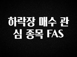 꾸준한 인기 하락장 매수 관심 종목 FAS 실사용 후기