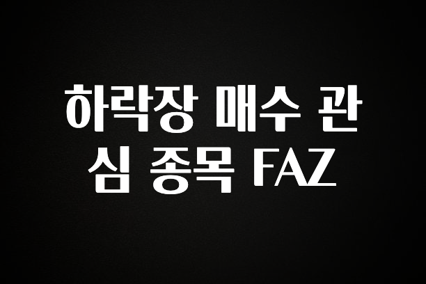 품절이 임박한 하락장 매수 관심 종목 FAZ 좋은 정보