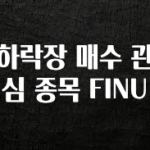 유튜브에서 난리난 정보 하락장 매수 관심 종목 FINU 30초면 확인 가능합니다