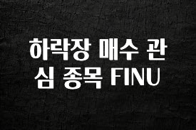 유튜브에서 난리난 정보 하락장 매수 관심 종목 FINU 30초면 확인 가능합니다