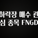 “이거”하나로 종.결 하락장 매수 관심 종목 FNGD 바로 클릭
