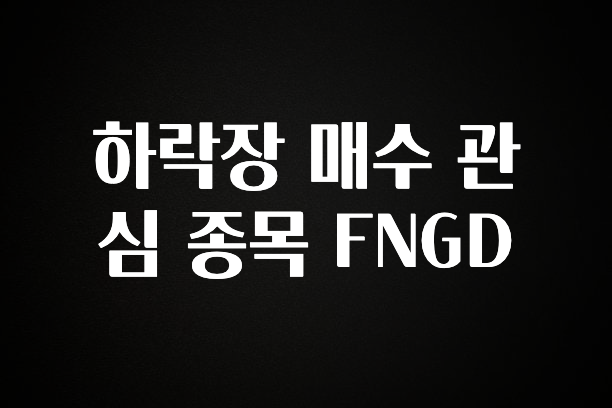 “이거”하나로 종.결 하락장 매수 관심 종목 FNGD 바로 클릭