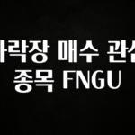 정성을 다하는 하락장 매수 관심 종목 FNGU 추천드릴게요