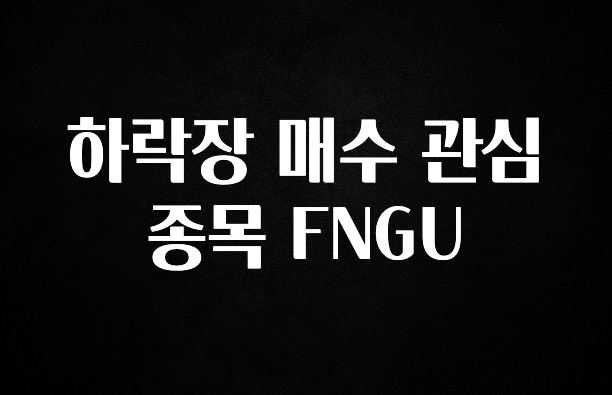 정성을 다하는 하락장 매수 관심 종목 FNGU 추천드릴게요