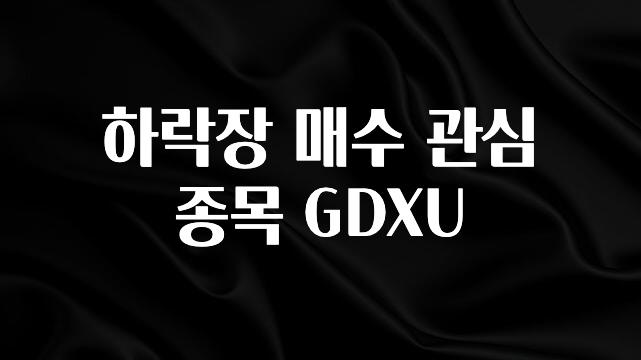 우리도 이렇게하자 하락장 매수 관심 종목 GDXU 군말없이 소개합니다