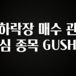 업뎃 정보 하락장 매수 관심 종목 GUSH 무조건 확인