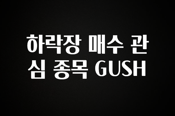 업뎃 정보 하락장 매수 관심 종목 GUSH 무조건 확인