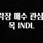 우리도 이렇게 하자 하락장 매수 관심 종목 INDL 좋은 정보