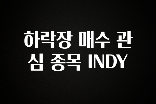 꾸준한 인기 하락장 매수 관심 종목 INDY 1분이면 확인가능 합니다