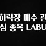 바로 확인가능한 하락장 매수 관심 종목 LABU 좋은 정보