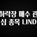 이정보美쳤다 하락장 매수 관심 종목 LIND 확인해보세요