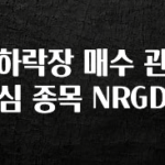 이게 진짜라고? 하락장 매수 관심 종목 NRGD 전합니다