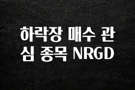 이게 진짜라고? 하락장 매수 관심 종목 NRGD 전합니다