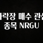 인스타 정보 하락장 매수 관심 종목 NRGU 정직하게 소개해보겠습니다