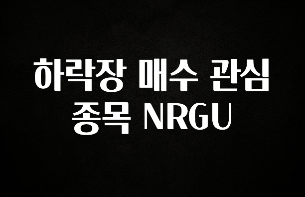 인스타 정보 하락장 매수 관심 종목 NRGU 정직하게 소개해보겠습니다