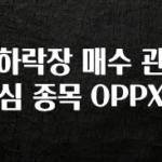 이번 선물은 꼭 하락장 매수 관심 종목 OPPX 꼭 확인해보세요