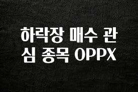 이번 선물은 꼭 하락장 매수 관심 종목 OPPX 꼭 확인해보세요