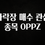 모두가 찾는 하락장 매수 관심 종목 OPPZ 바로 클릭