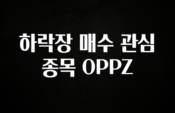 모두가 찾는 하락장 매수 관심 종목 OPPZ 바로 클릭