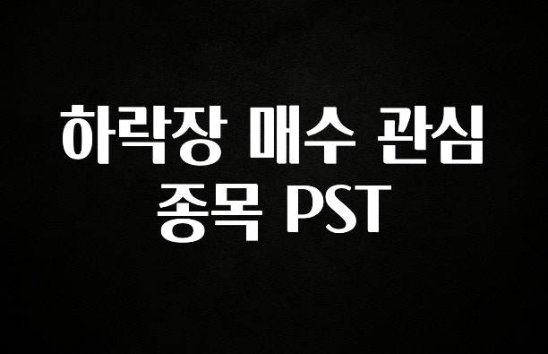 최저가로 모시는 하락장 매수 관심 종목 PST 관심이 뜨겁습니다